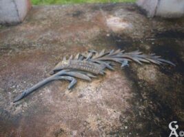 Amicale des anciens du 4e cuirassiers