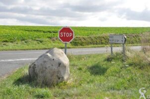 Boule Commémorative US