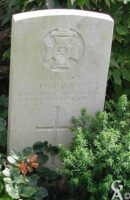 DAVIES