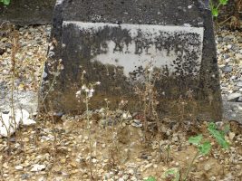 tombe entourée de bordures en pierre et surmontée d'une croix épitaphe ANDRE Albertine - natty