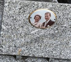 plaque 