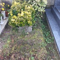Tombe individuelle végétalisée - nharant