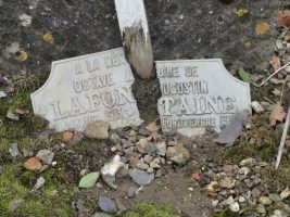 plaque cassee tombe en reprise - natty