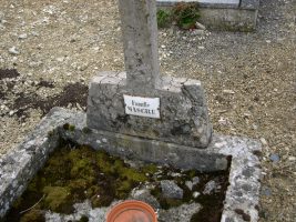 detail de la plaque- natty