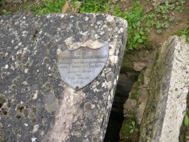 plaque écusson gravée sur pierre - natty