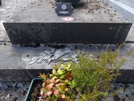 inscription gravée sur la pierre tombale _ natty