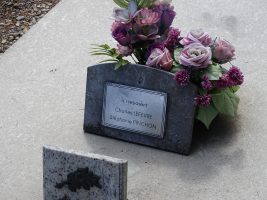 plaque sur la tombe - natty