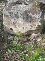 détail de la gravure -M.A.Schioppa 