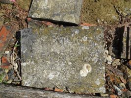 morceau de stèle d'une tombe abandonnée - natty