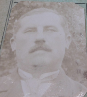 DAUBENTON