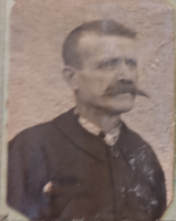 FAUVET
