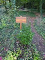 petite tombe isolée avec une pancarte identifiant le défunt - O.Dufour