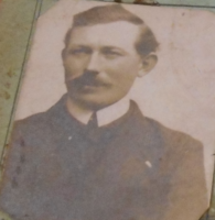 PLISSON