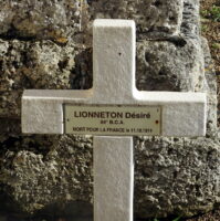 LIONNETON