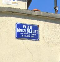 BLEUET
