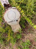 LAGNEAU