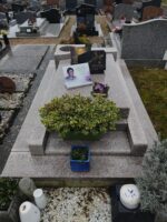 monument gris moucheté - O.Dufour
