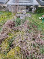 tombe envahie par la végétation avec croix sur laquelle figure une plaque d'identification - O.Dufour