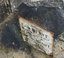 zoom sur la plaque - O.Dufour