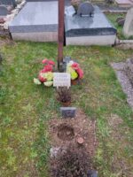 tombe pleine terre avec petite plaque blanche d'identification - O.Dufour