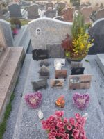 monument gris moucheté avec stèle sur laquelle figure une photo et l'identification du défunt en lettres dorées - O.Dufour