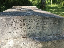 CASULT