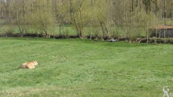 Les bords de l'Oise - Contributeur : Natty