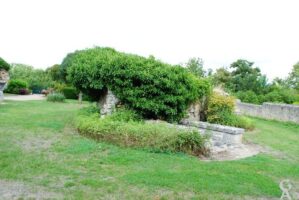 Contributeur : M.Trannois