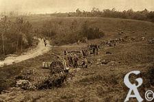 La Guerre 1914-1918 - La surprise du 18 juilletMassées dans la forêt de Villers-CotterêtsUn groupe français de 75 en batterie, le soir du 18 juillet 1918, sur un terrain occupé par l'ennemi le matin.